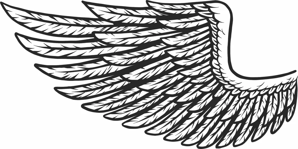 Angel Wing Clipat Clipart — full DXF linework preview
