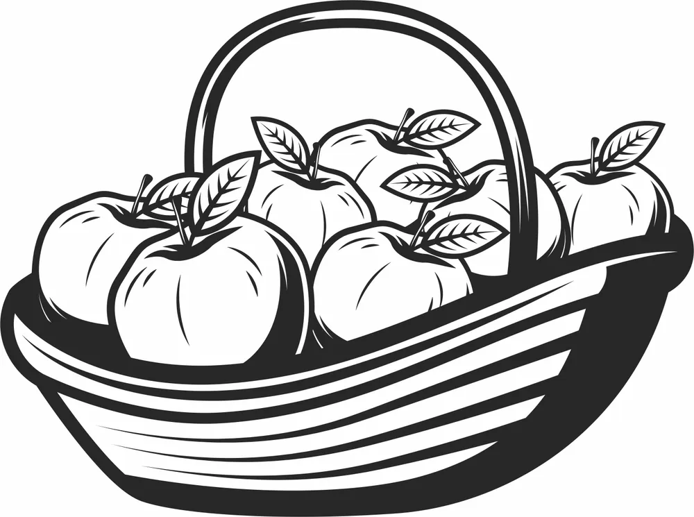 Apple Basket Design — full DXF linework preview