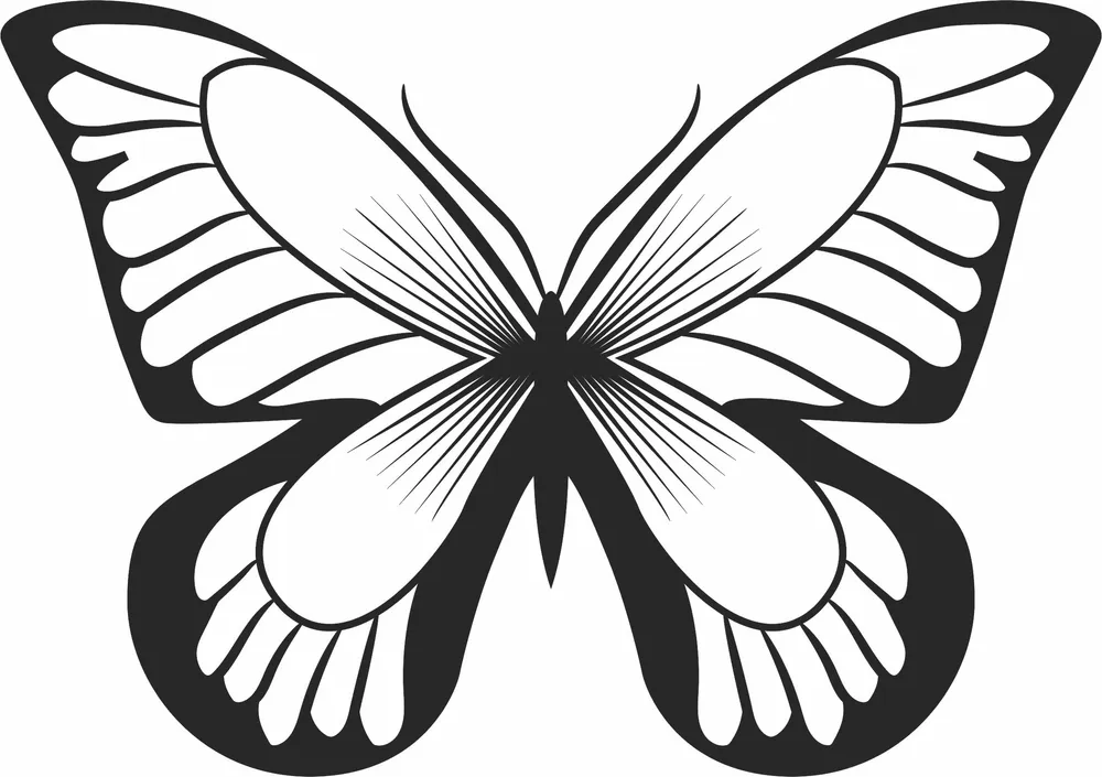 Butterfly Silhouette — DXF linework preview