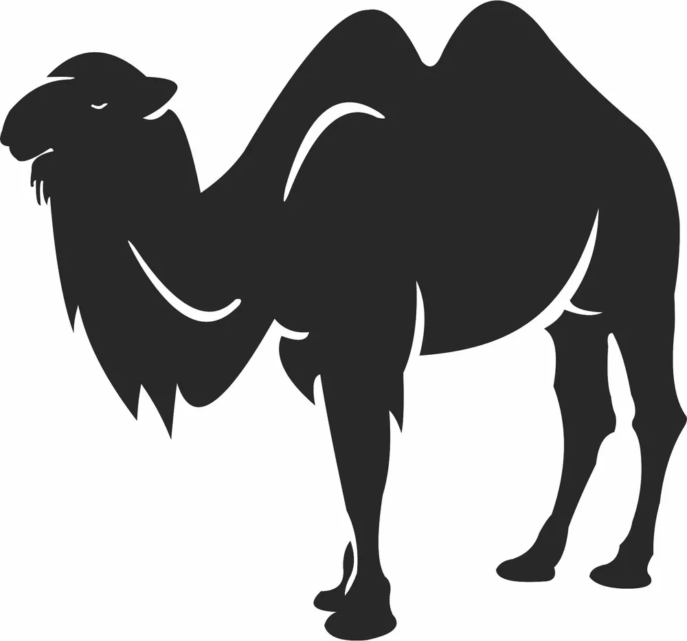 Camel Silhouette — full DXF linework preview