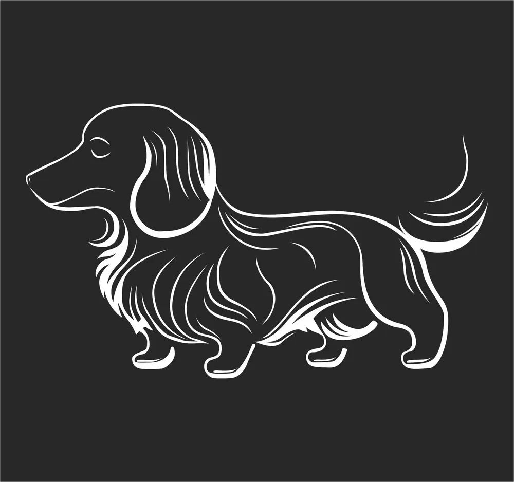 Dachshund Dog Silhouette — full DXF linework preview