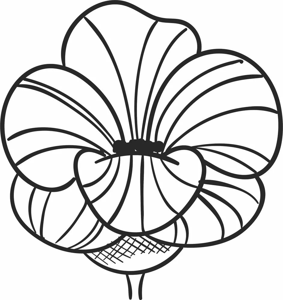 Decorative Flower Clipart — full DXF linework preview