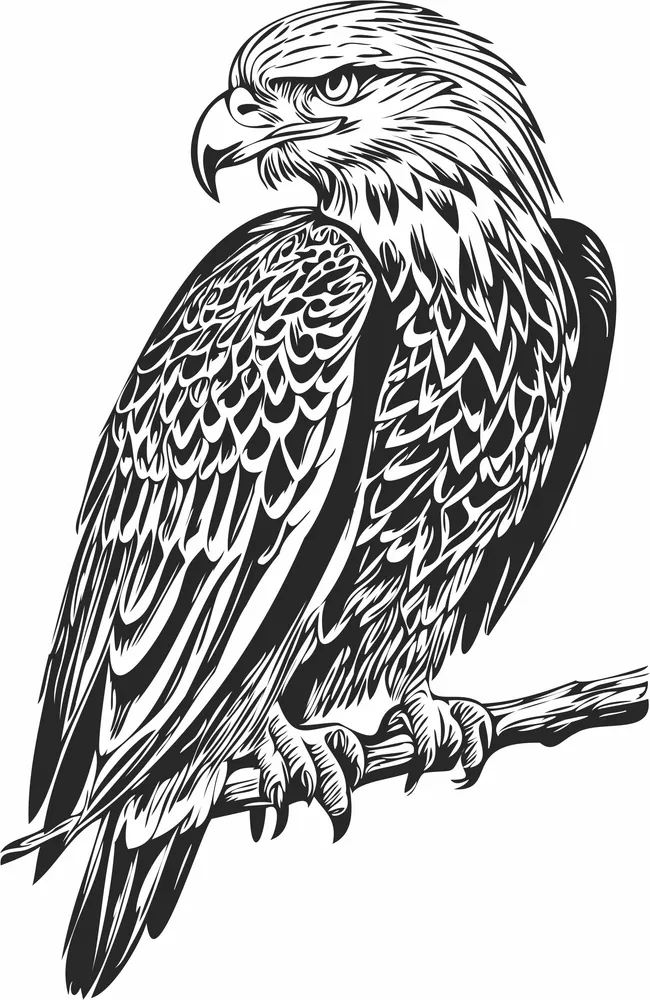 Eagle Clipart — full DXF linework preview