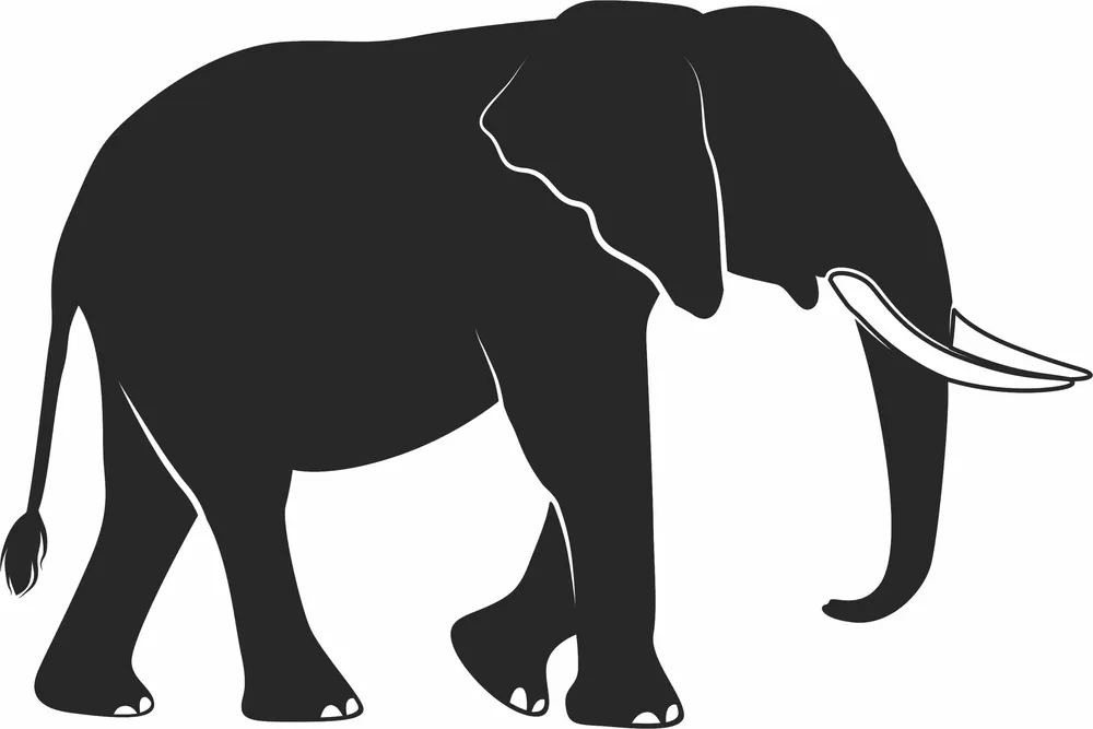 Elephant Illustration Silhouette — full DXF linework preview