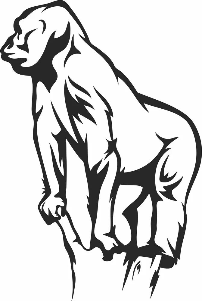 Gorilla Clipart — full DXF linework preview