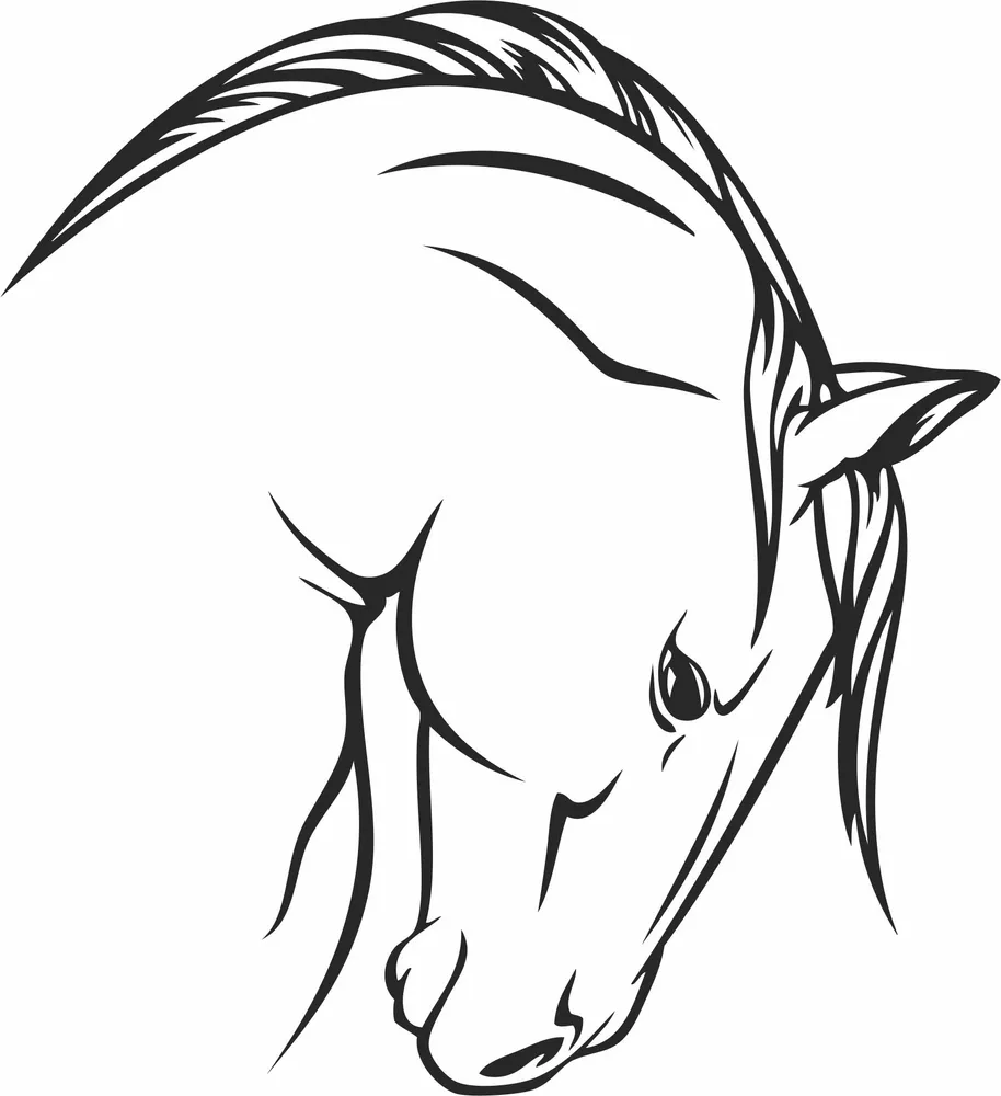Horse Head Clipart — full DXF linework preview