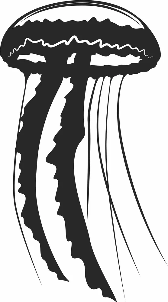 Jellyfish Clipart — full DXF linework preview