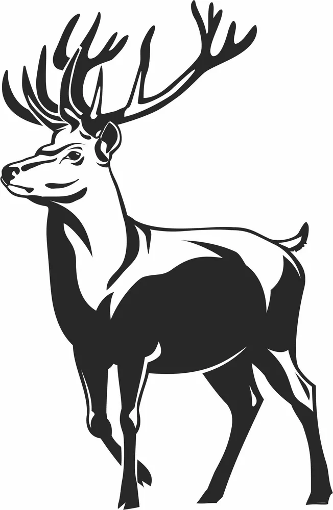 Majestic Red Deer Stag Full Body Large Antlers Vector — DXF linework preview