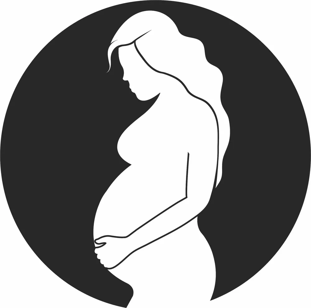 Pregnant Woman Silhouette — DXF linework preview