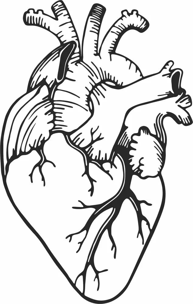 Realistic Heart Clipart — full DXF linework preview