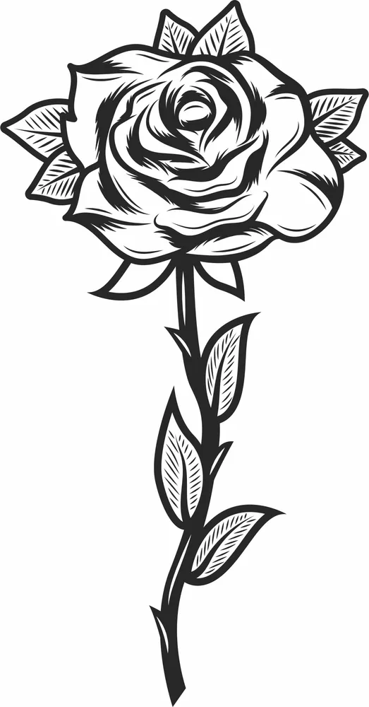 Rose Tattoo Design — full DXF linework preview