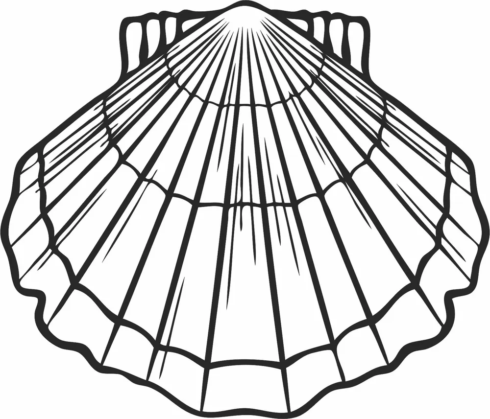 Scallop Silhouette — full DXF linework preview