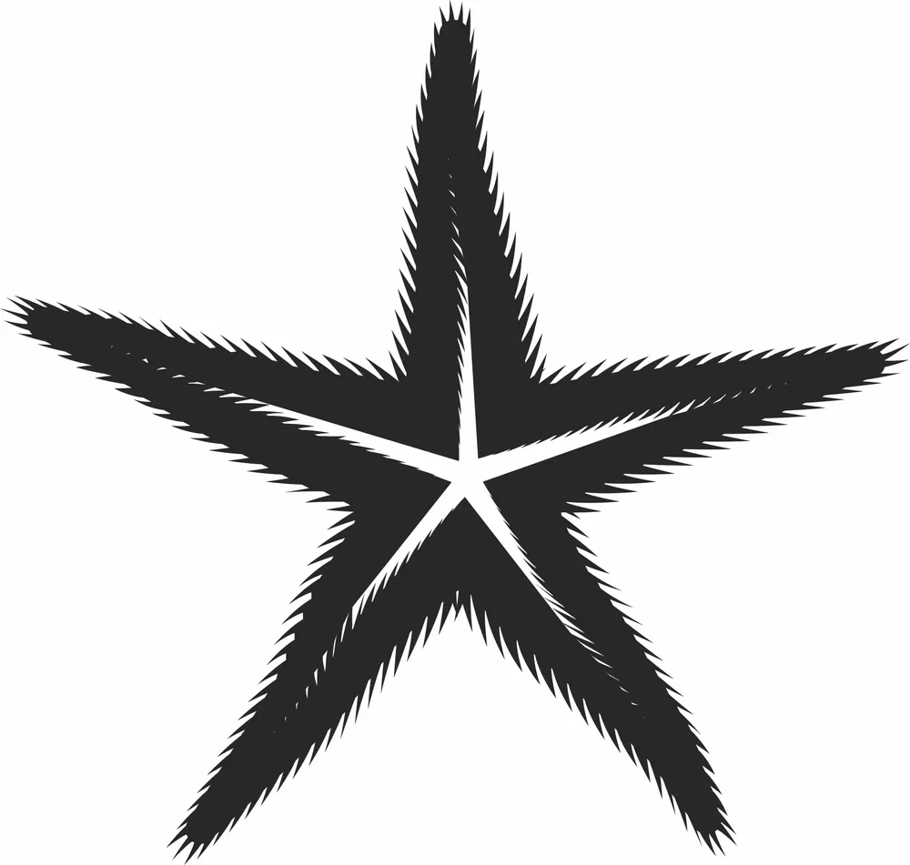 Star Doodle Clipart — full DXF linework preview