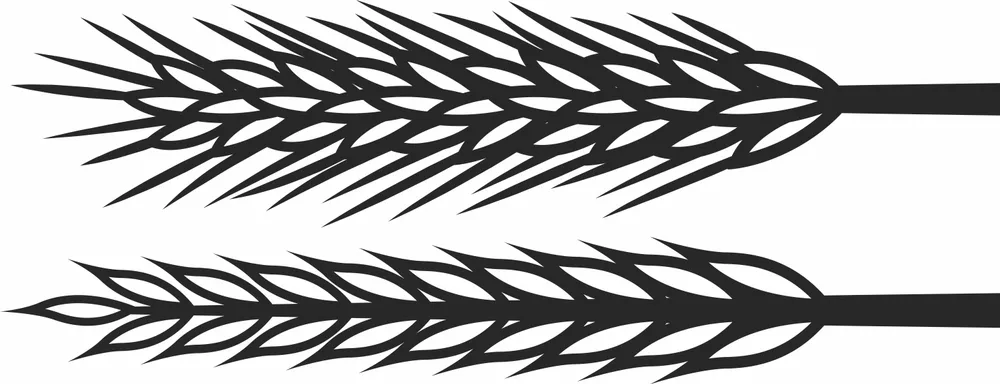 Wheats Wall Art — full DXF linework preview