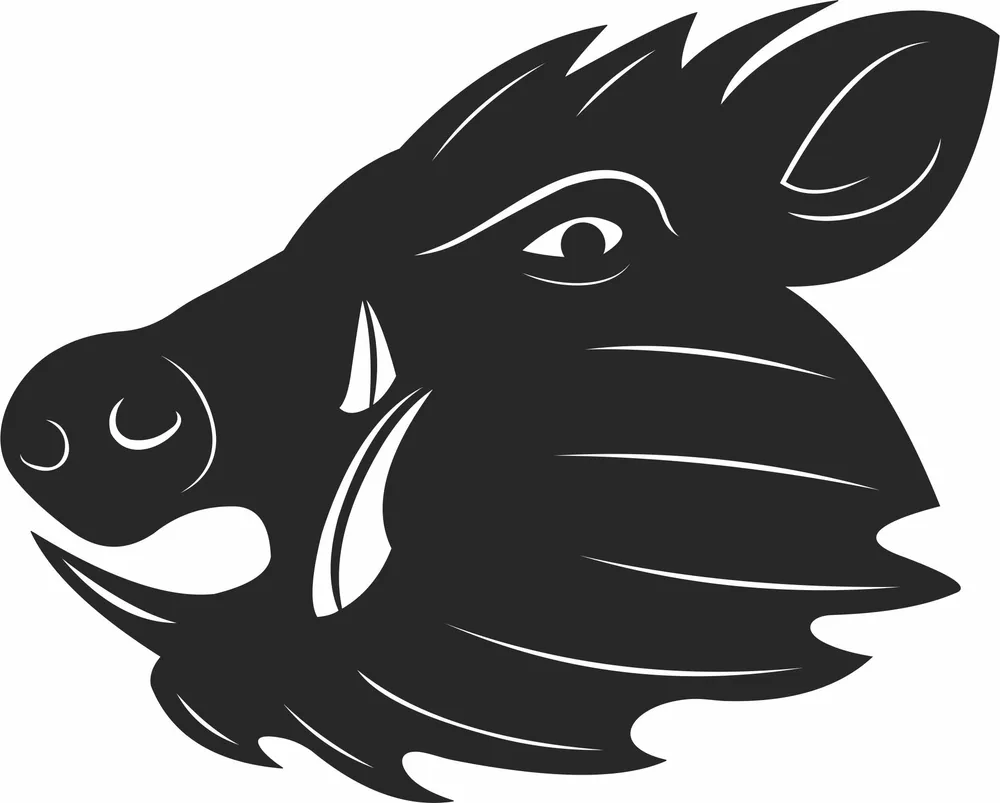 Wild Boar Head Clipart — full DXF linework preview